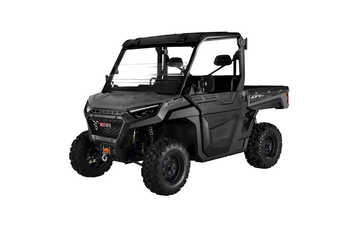 UTV WORKCROSS 650-3